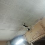 School Kitchen Renovations (3) smaller